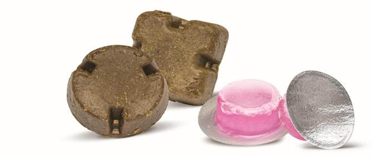 Technika szczepień – schemat przynęty i kapsułki